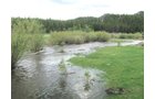 Property photo 22 - Get Lost in the Pristine Northern Colorado Rockies - Prime Building Sites